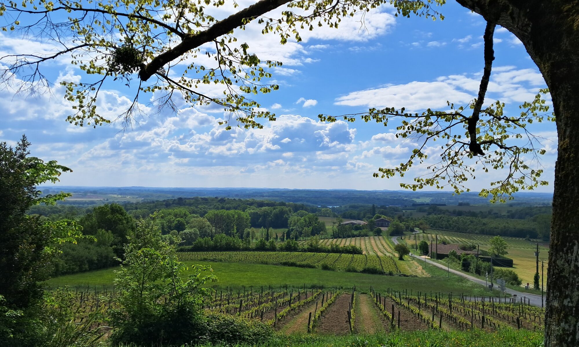 paysage